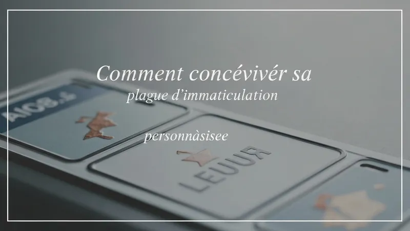 Comment Concevoir Sa Plaque Dimmatriculation Personnalisee